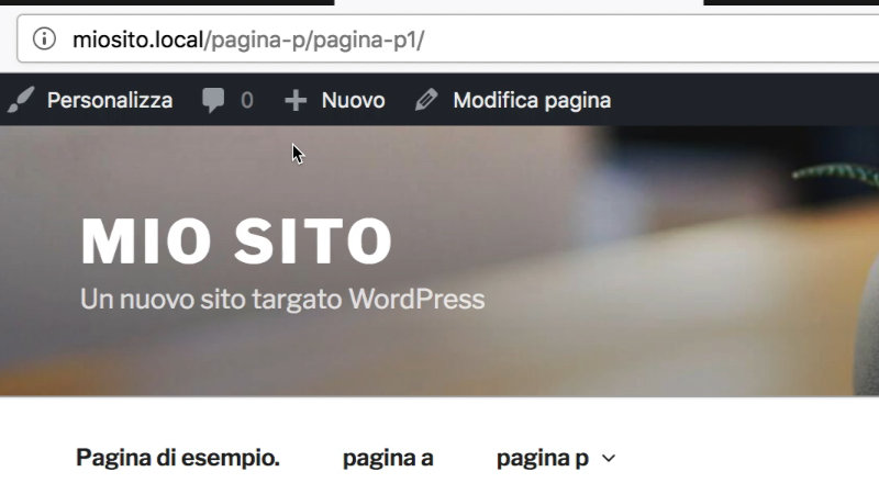 wordpress-differenza-articoli-pagine-06