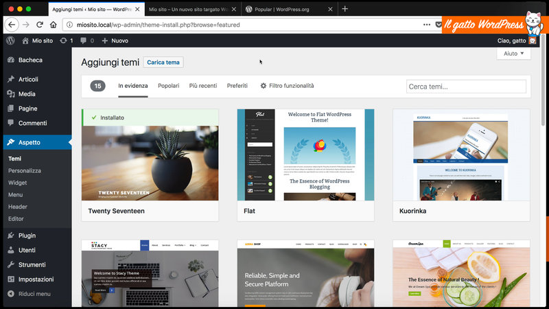 wordpress-come-installare-tema-06