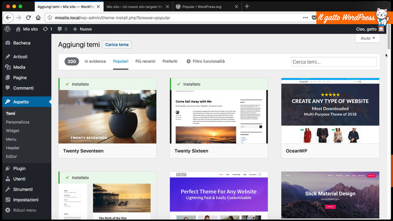 wordpress-come-installare-tema-07