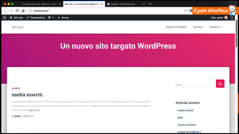 wordpress-come-installare-tema-13