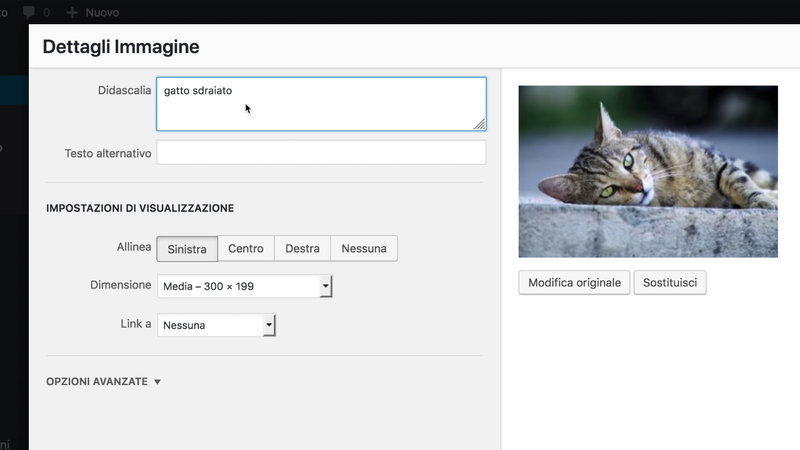 wordpress-gestione-immagini-media-11