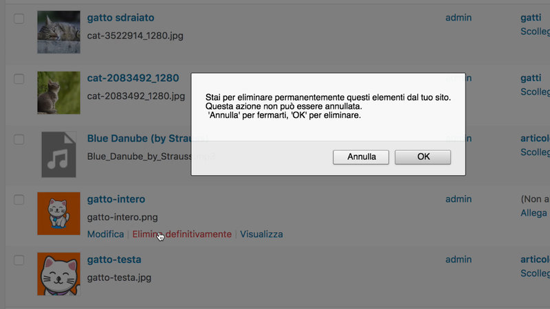 wordpress-gestione-immagini-media-14